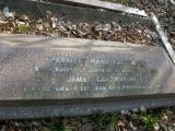 image of grave number 56843